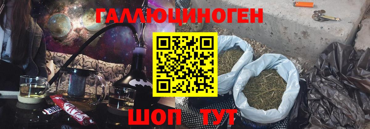 Псилоцибиновые грибы Psilocybe Нерюнгри